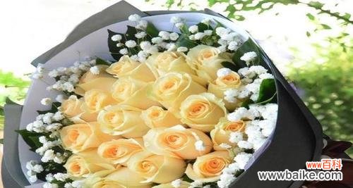 探索香槟色玫瑰所代表的各种含义 香槟色玫瑰花语的象征与寓意