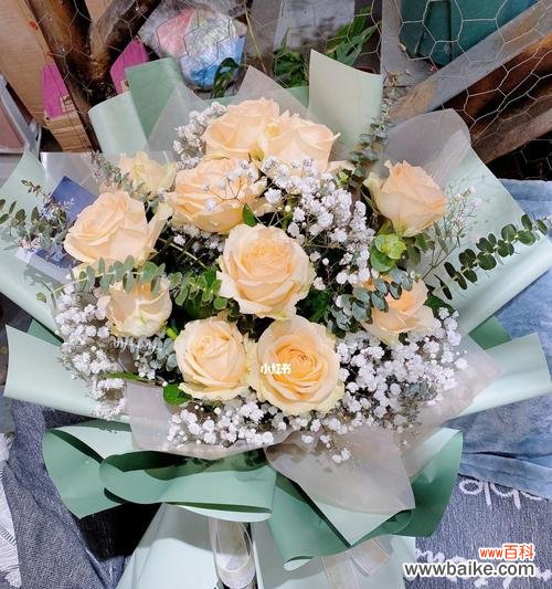 探究香槟色玫瑰的浪漫与祝福 香槟色玫瑰花的寓意与象征