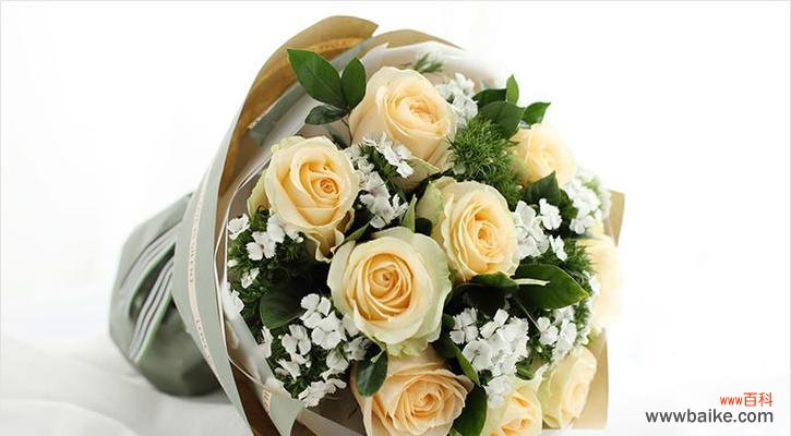 探究香槟色玫瑰的浪漫与祝福 香槟色玫瑰花的寓意与象征