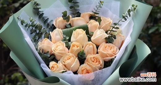 探索香槟色玫瑰朵数所代表的情感和象征 以香槟色玫瑰朵数的意义