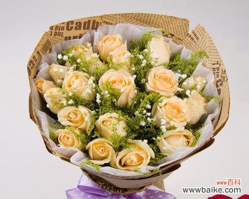 透露出温馨与浪漫 香槟色玫瑰的深意