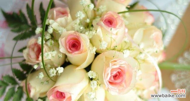 探寻香槟色玫瑰的浪漫与神秘 香槟色玫瑰花语的深刻寓意