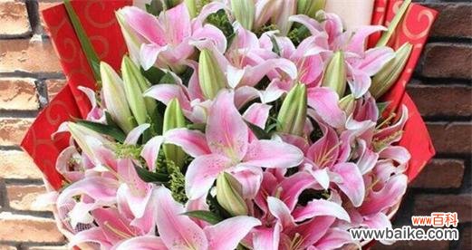 穿越时空的芬芳 香水百合花语