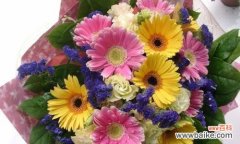 向日葵的阳光希望与坚强之美 向日葵花的寓意及花语