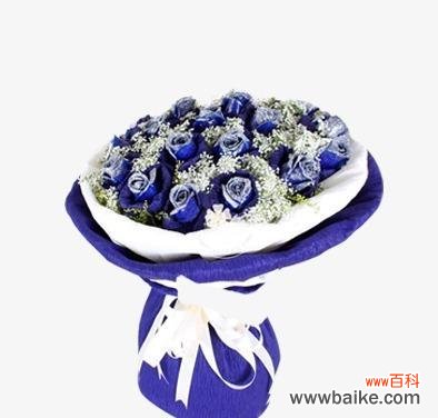 探寻蓝玫瑰的秘密与故事 蓝玫瑰的象征意义与传奇