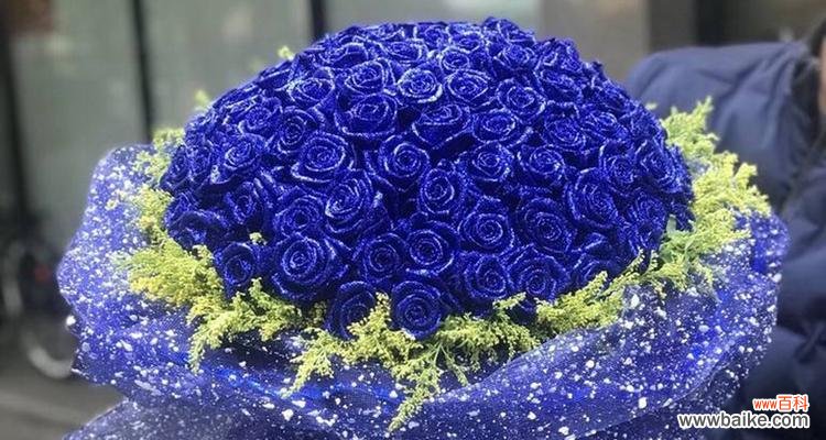 探寻蓝玫瑰的秘密与故事 蓝玫瑰的象征意义与传奇