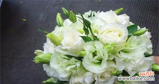 探寻洋桔梗的神秘花语和深刻寓意 洋桔梗花语与寓意