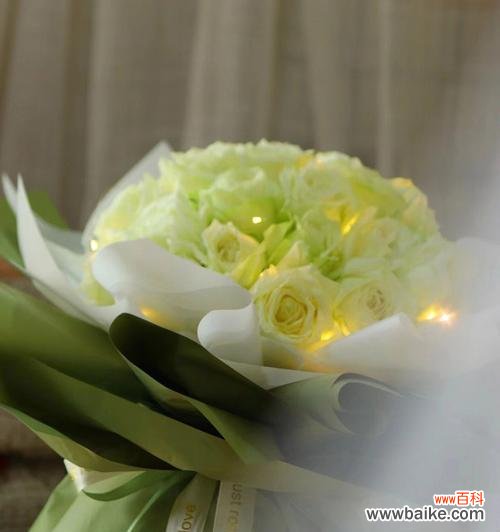 纯洁 白玫瑰的美丽和象征意义