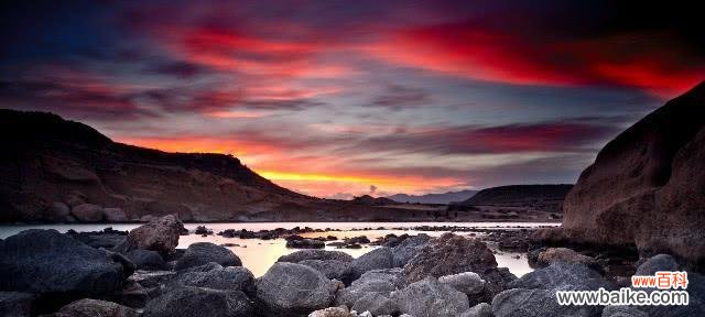 花开人间 依米花的花语