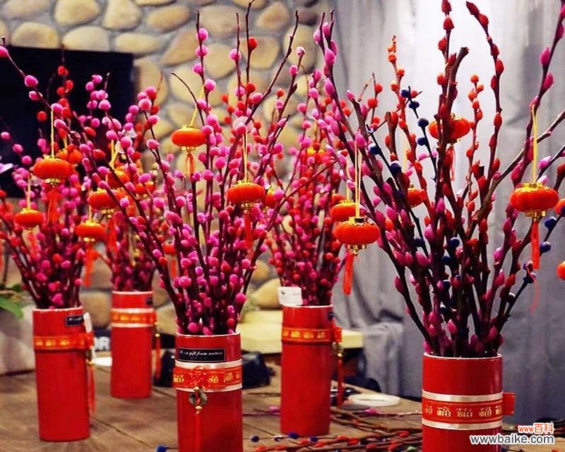 揭开银柳的美丽密码 银柳的花语和寓意