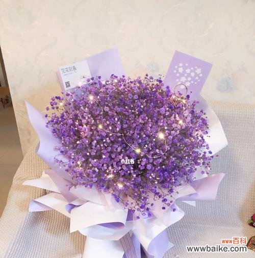 探寻紫色满天星的深层含义 紫色满天星的花语