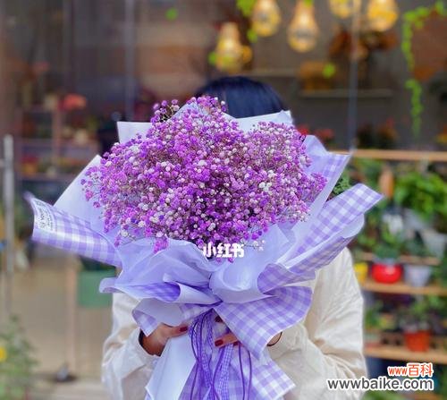 探寻紫色满天星的深层含义 紫色满天星的花语