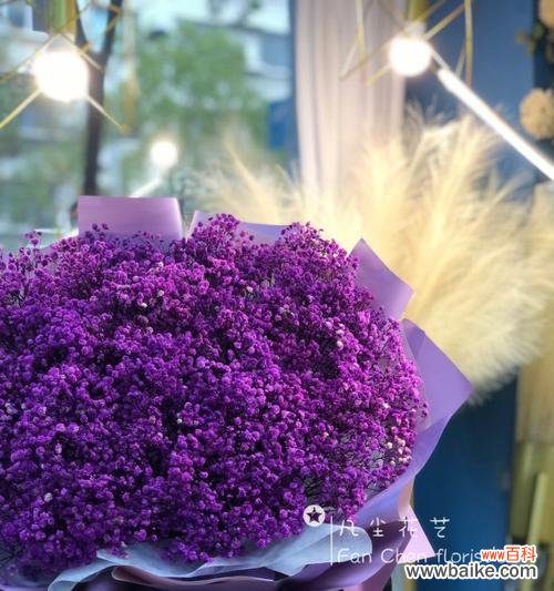 揭开紫色满天星的花语之谜 紫色满天星的花语——神秘与浪漫