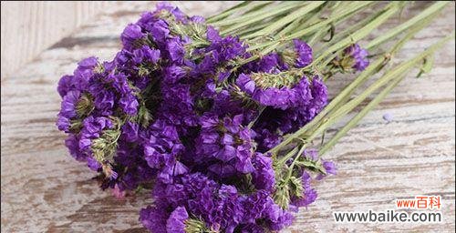 探索紫色马蹄莲的花语与奇妙之处 紫色马蹄莲，神秘而美丽的花海