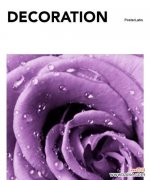 紫色玫瑰 紫色玫瑰的花语和寓意