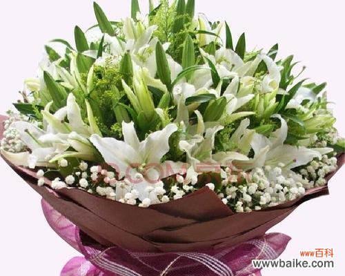 探究白百合的花语和象征意义 白百合的花语与寓意