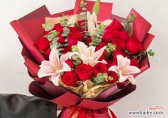 解读红玫瑰花语与情感的交织缘起于20朵红玫瑰 红玫瑰的花语之探寻20朵红玫瑰的代表含义