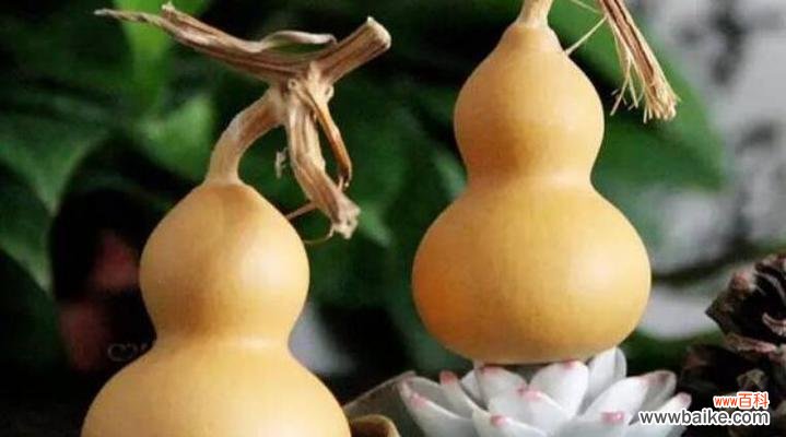 探寻葫芦在中国文化中的象征意义及其在风水中的运用 葫芦的寓意和象征风水