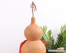 揭秘葫芦在生活中的象征意义和风水效应 葫芦的寓意与风水作用