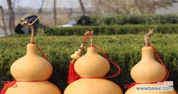 揭秘葫芦在生活中的象征意义和风水效应 葫芦的寓意与风水作用