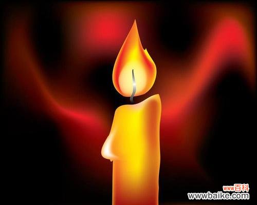 点燃希望与浪漫的花光 以花烛的花语及其象征寓意