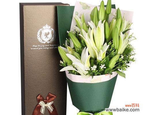 黄百合花 探秘黄百合花的花语与寓意