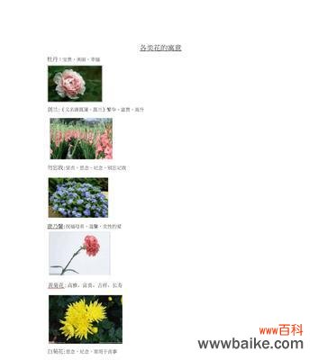 香气醉人 天竺葵的花语及代表意义