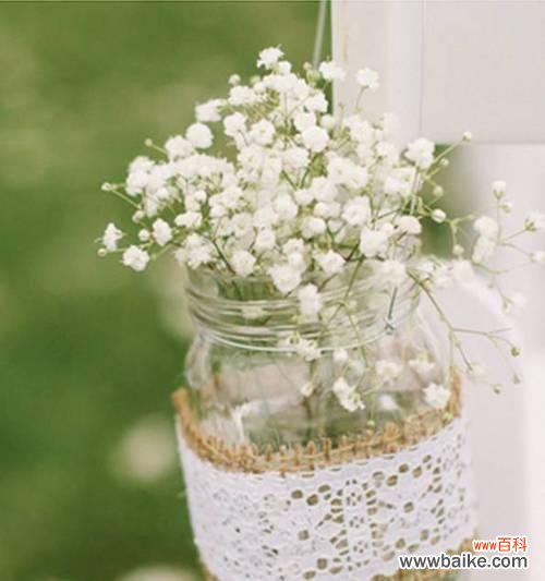 探索满天星花的浪漫与神秘 满天星花语的含义和象征