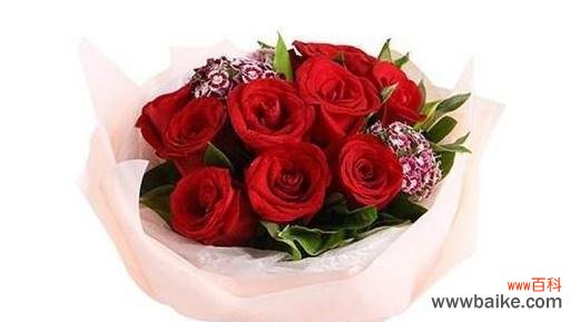 探索玫瑰花所代表的不同人格特质及其象征意义的深层次解读 玫瑰花的象征意义与人格特质