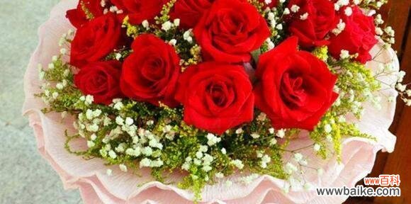 十九朵玫瑰花的花语及象征意义 玫瑰花的花语解读