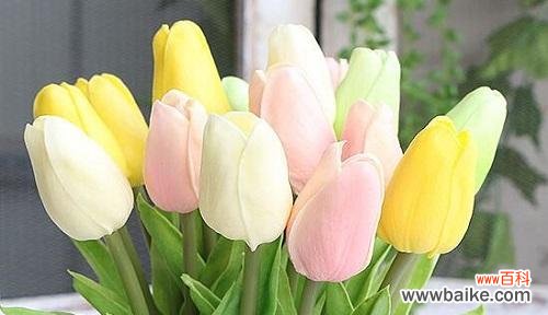 用玫瑰诉说离别之痛 分手之花