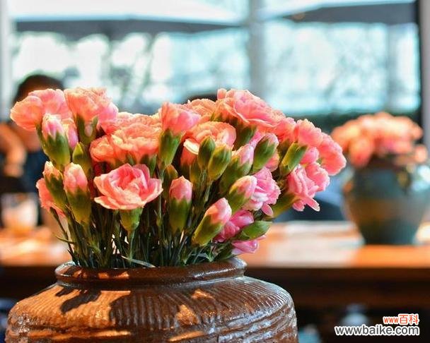 用花传递感激之情 用花代表感恩