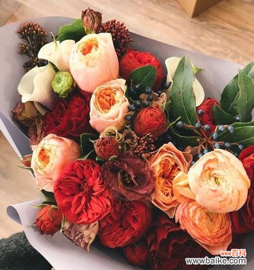 用花传递感激之情 用花代表感恩