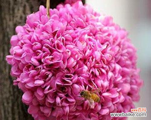 以百合花代表结束的意义与寓意 花开花谢，一切都会结束