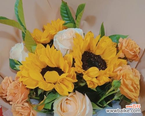 了解不同花朵代表的生日快乐祝福语 用鲜花传递生日祝福