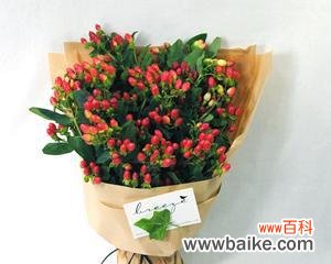 寄托深情 花语传情