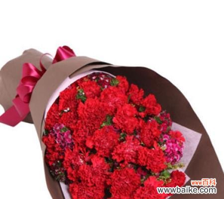 红色康乃馨的浪漫情怀 红色康乃馨花语和寓意