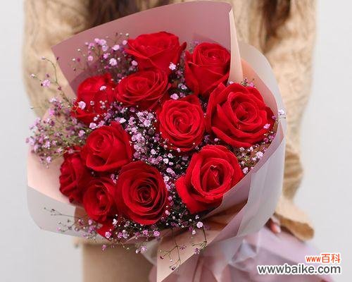 用玫瑰讲述心意 深情告白之意，送11朵玫瑰的含义