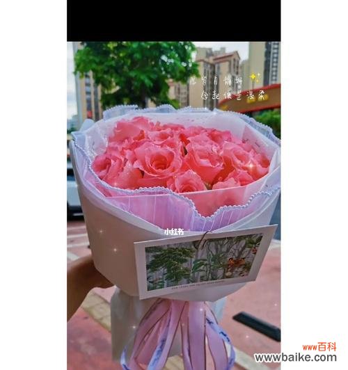 探寻戴安娜玫瑰花背后的美丽秘密 戴安娜玫瑰花的花语与象征意义