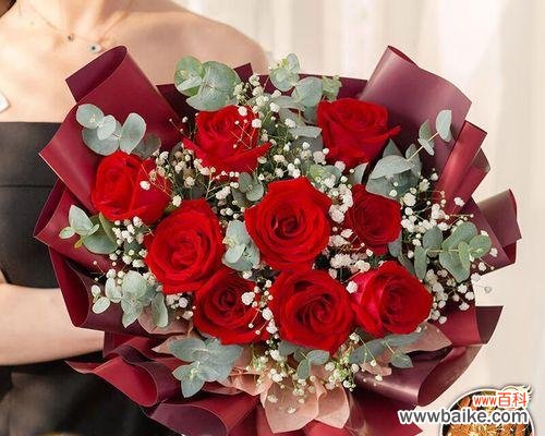 探寻玫瑰花背后的深刻意义 九朵玫瑰花的寓意与象征