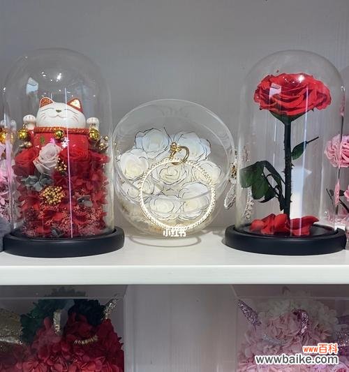 探寻永生花的特点和养护方法 永生花——美丽永恒的花语与养护