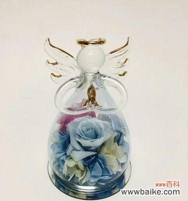 探寻永生花的特点和养护方法 永生花——美丽永恒的花语与养护