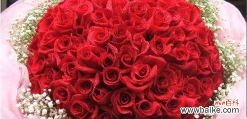 解读玫瑰花数量的象征意义 玫瑰花的寓意——多少朵才适合