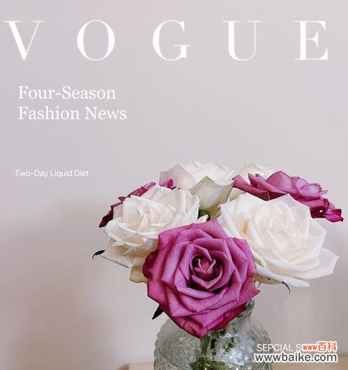 探索芬德拉玫瑰的美丽语言 芬德拉玫瑰花语