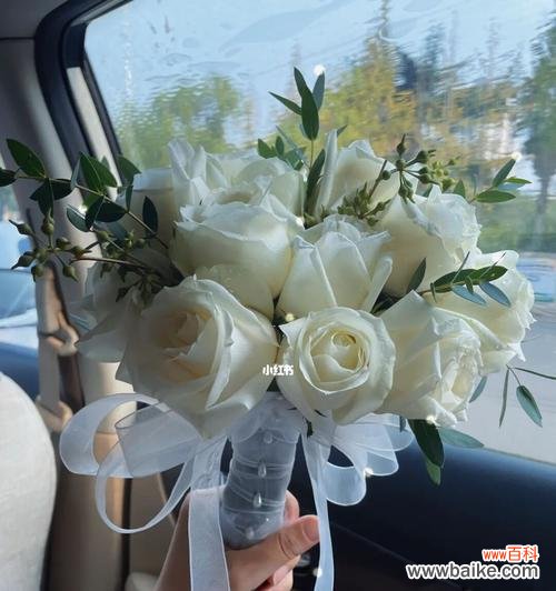 纯洁无瑕的花朵 白玫瑰的美丽与象征意义