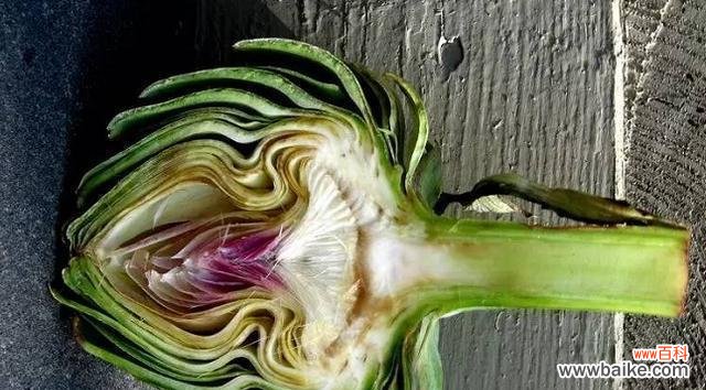 探索植物分株繁殖的奥秘 植物分株繁殖