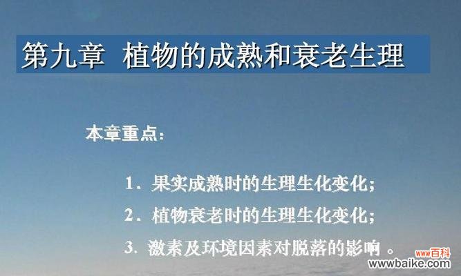 探索植物呼吸作用的意义及其生态功能 植物呼吸作用的重要性