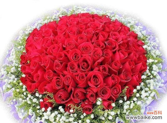 送玫瑰花是一种怎样的表达方式 玫瑰花的象征意义及送花的文化习俗