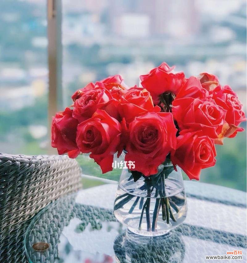 探寻十一朵玫瑰花所代表的含义 十一朵玫瑰花的象征意义