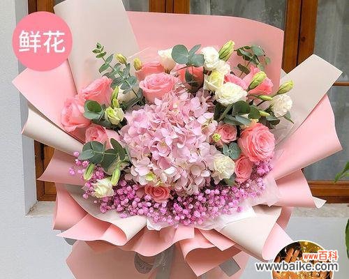 探究玫瑰数量与情感之间的秘密 送女友11朵玫瑰的含义与传达心意